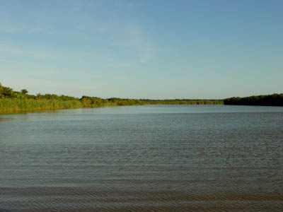 DSC00050