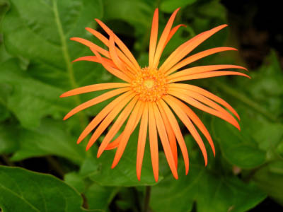 PICT0043