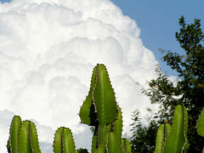 PICT0058