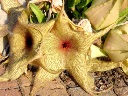 DSC00032