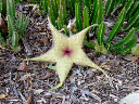 DSC00035