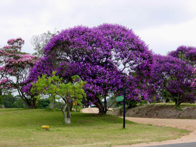 DSC00071