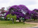 DSC00071