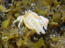 DSC00148