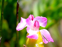 DSC00197