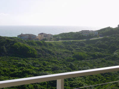 DSC00338