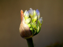 DSC00376