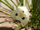 PC210090