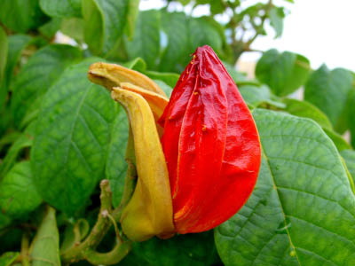 DSC00060