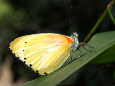 P2070033