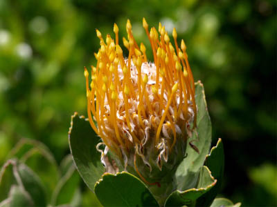 P2070051