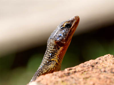 P2200281
