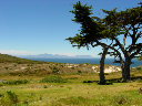 DSC00026