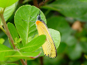 DSC00053