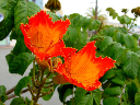 DSC00059
