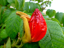 DSC00060