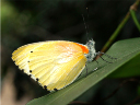 P2070033